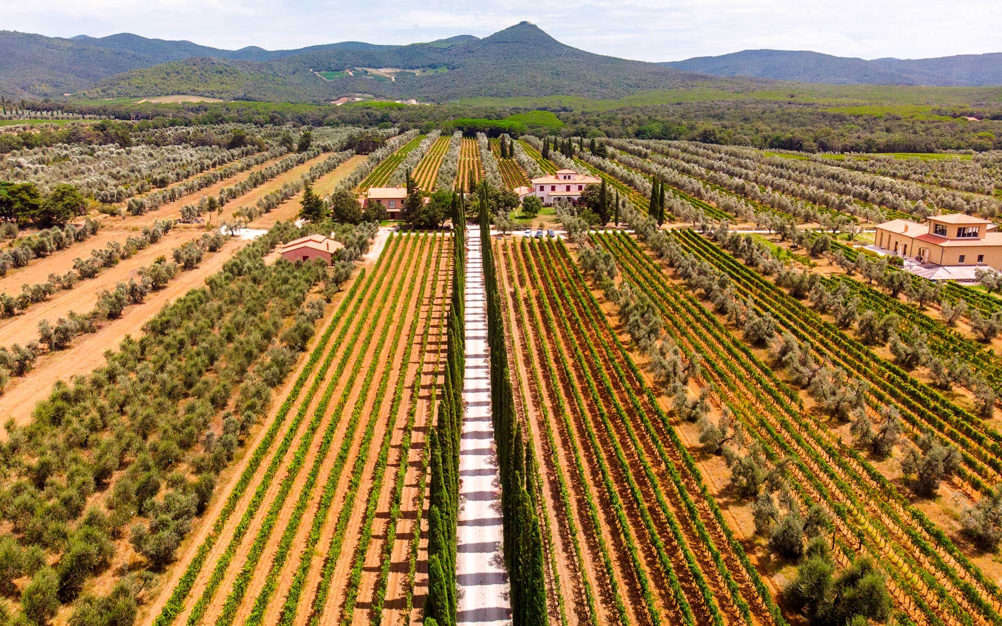 Agricola Chiappini