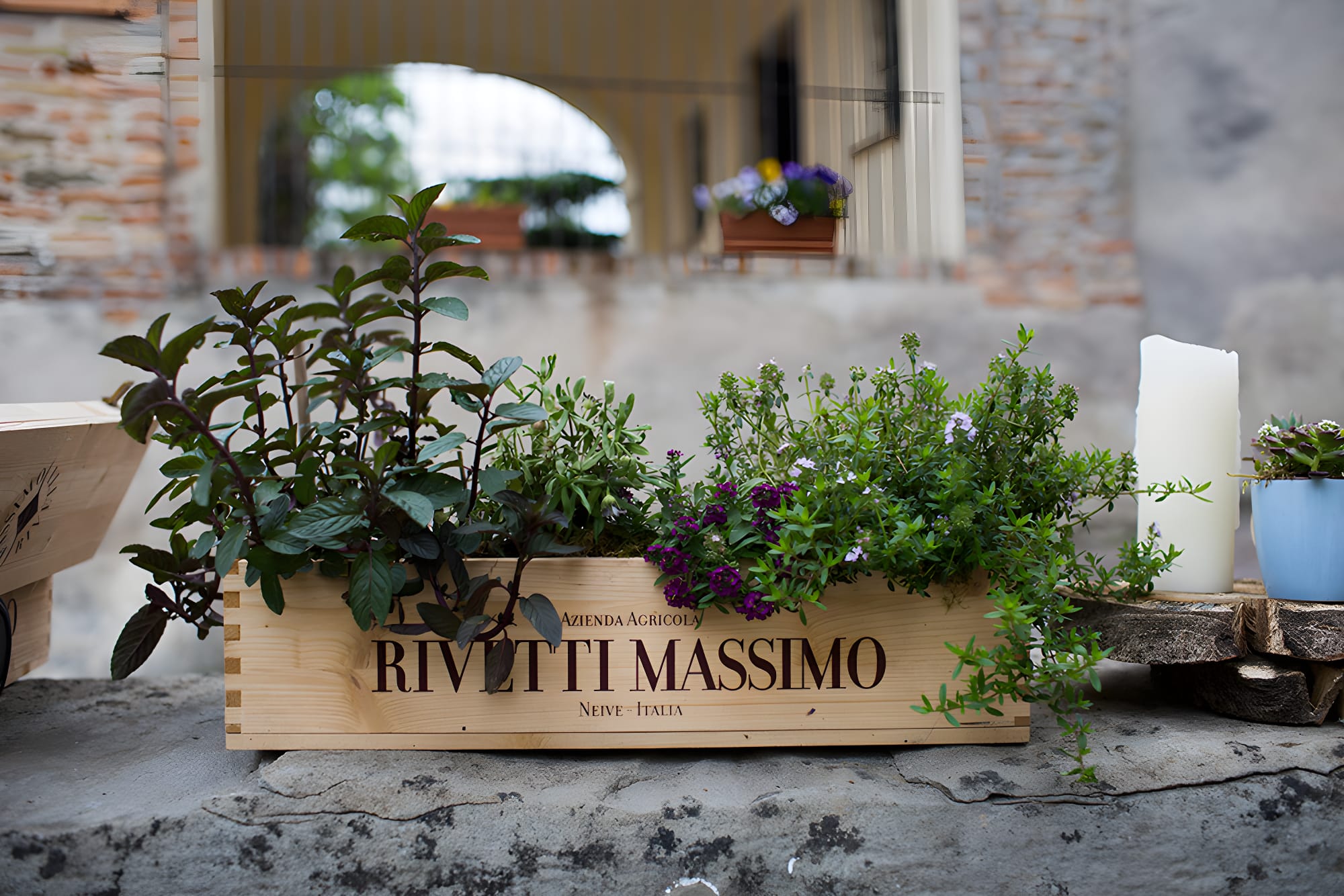 Maak kennis met Massimo Rivetti