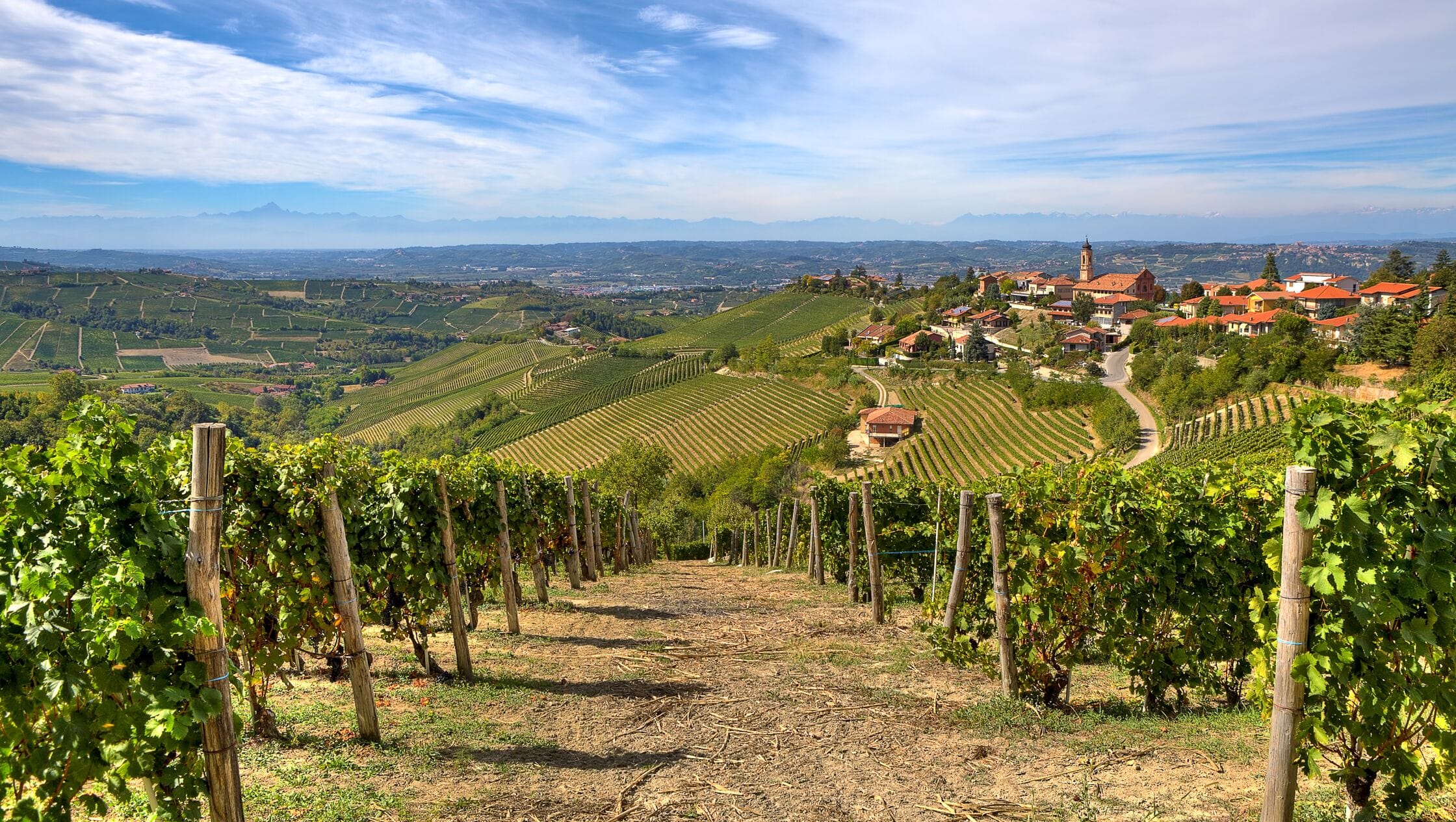 De beste wijnhuizen in Piemonte