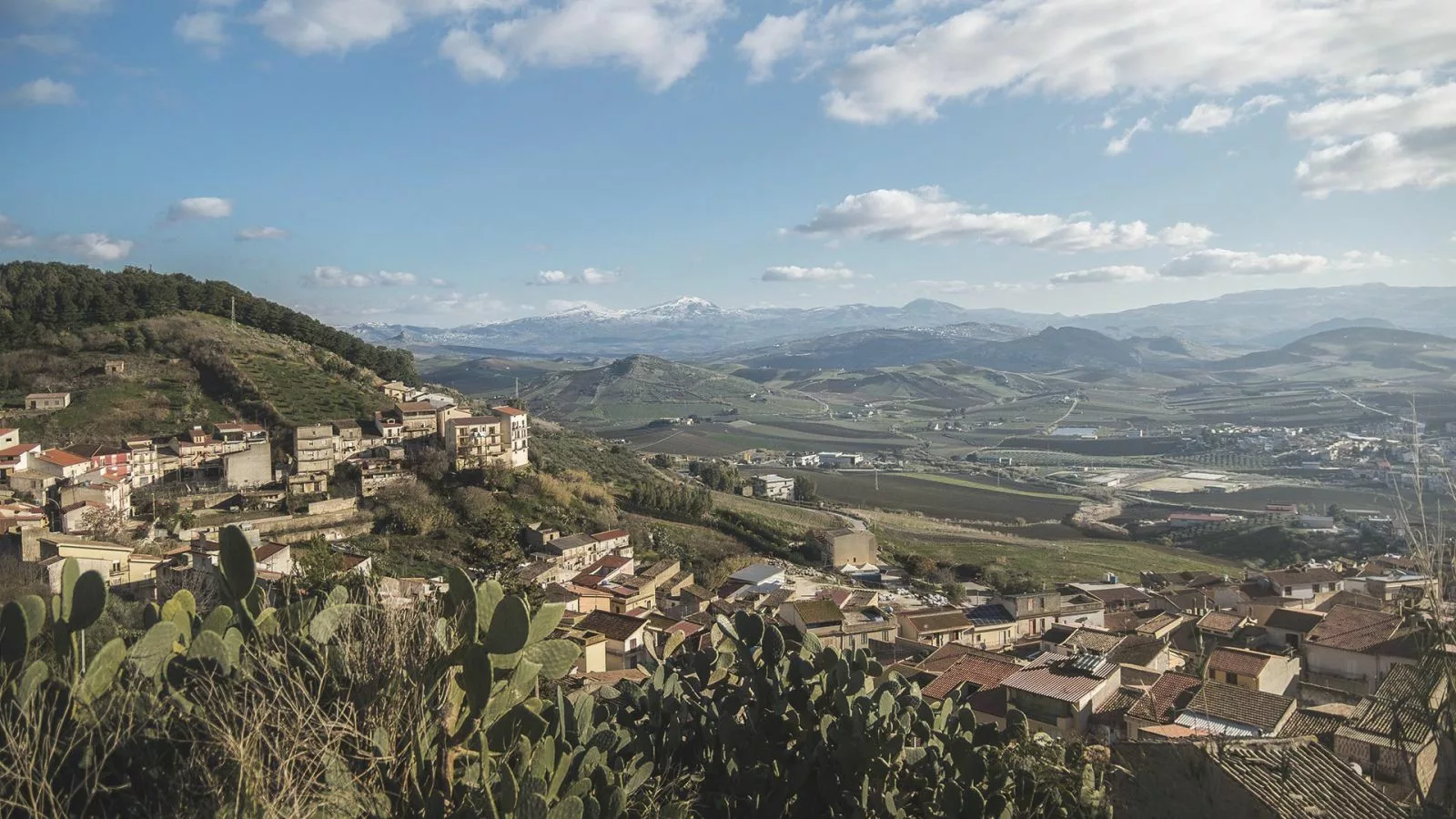 Alessandro di Camporeale