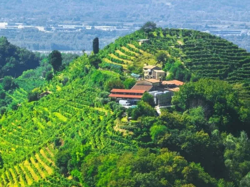 Conegliano & Valdobbiadene