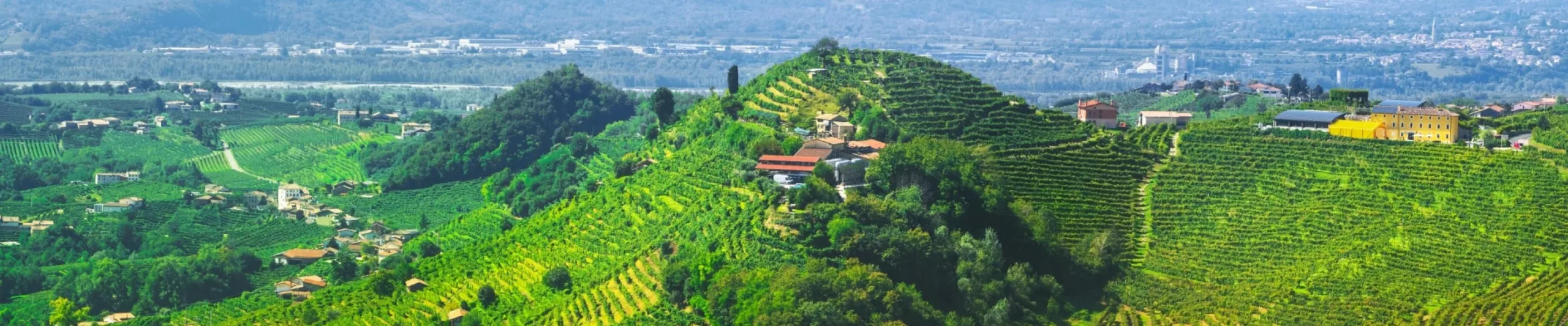 Conegliano & Valdobbiadene