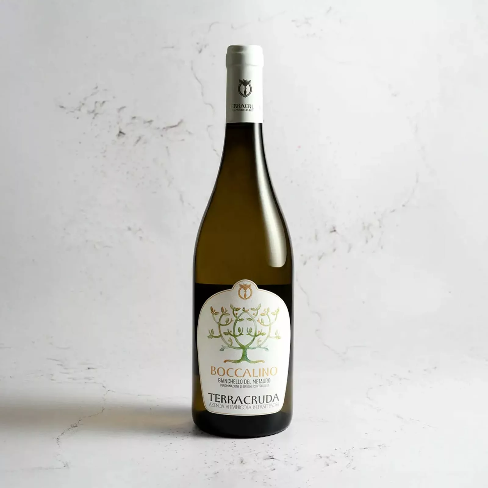 Terracruda Boccalino