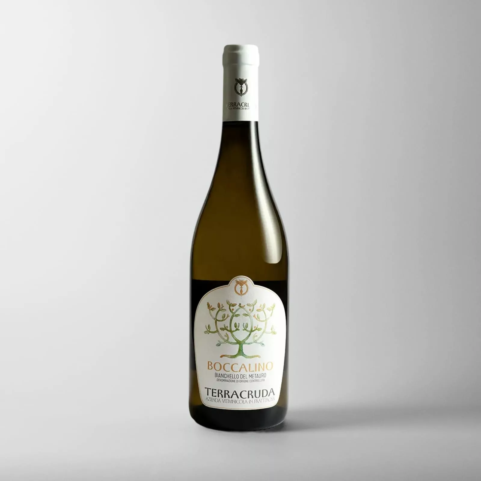 Terracruda Boccalino Terracruda Boccalino