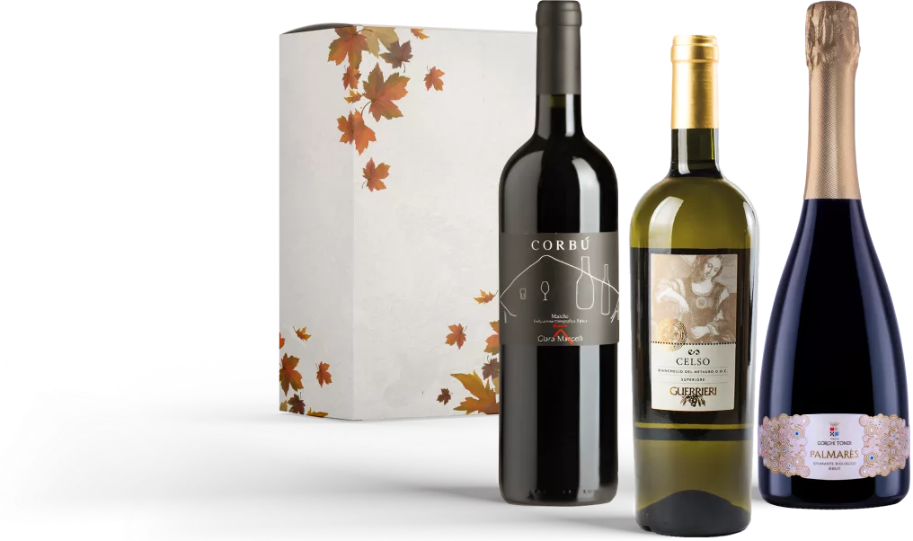 Wijnbox herfst 2025