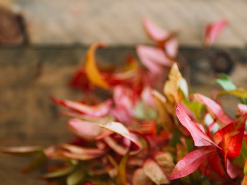 Italiaanse Herfstwijn