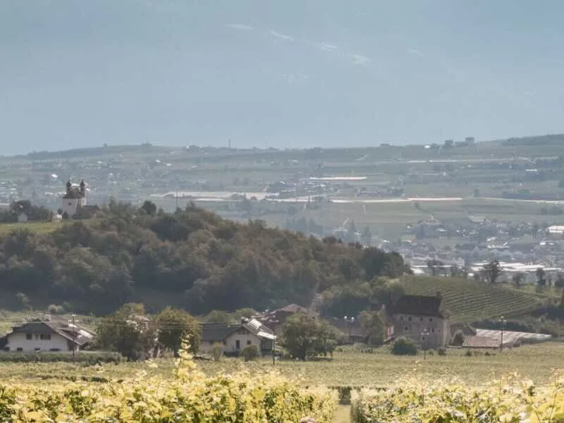 Alto Adige Landschap en wijngaarden