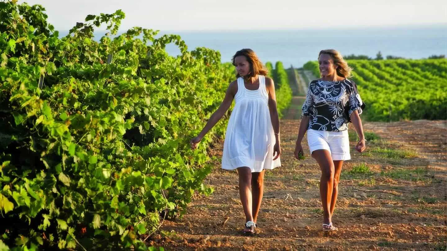 Twee vrouwen wandelen tussen de wijnranken van Gorghi Tondi, met de Middellandse Zee op de achtergrond